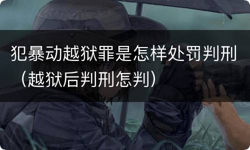 犯暴动越狱罪是怎样处罚判刑（越狱后判刑怎判）