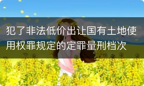 犯了非法低价出让国有土地使用权罪规定的定罪量刑档次