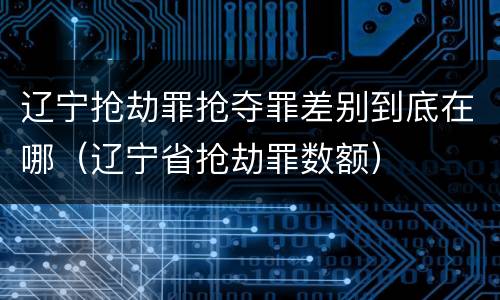 辽宁抢劫罪抢夺罪差别到底在哪（辽宁省抢劫罪数额）