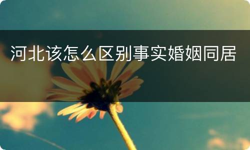 河北该怎么区别事实婚姻同居
