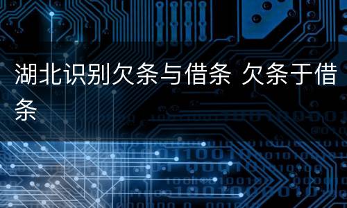 湖北识别欠条与借条 欠条于借条