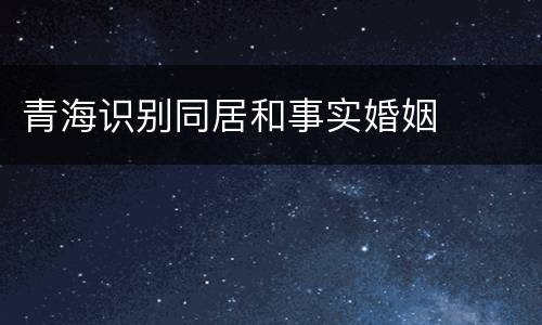 青海识别同居和事实婚姻