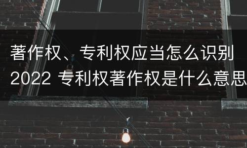 著作权、专利权应当怎么识别2022 专利权著作权是什么意思