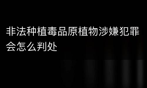 非法种植毒品原植物涉嫌犯罪会怎么判处