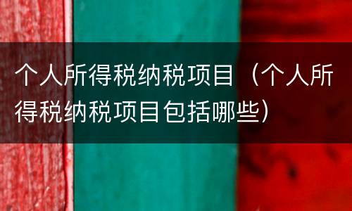 个人所得税纳税项目（个人所得税纳税项目包括哪些）
