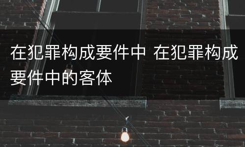 在犯罪构成要件中 在犯罪构成要件中的客体