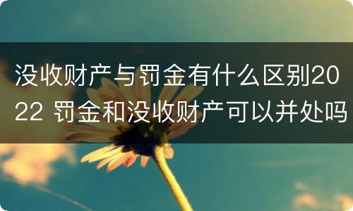 没收财产与罚金有什么区别2022 罚金和没收财产可以并处吗