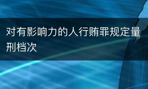 对有影响力的人行贿罪规定量刑档次