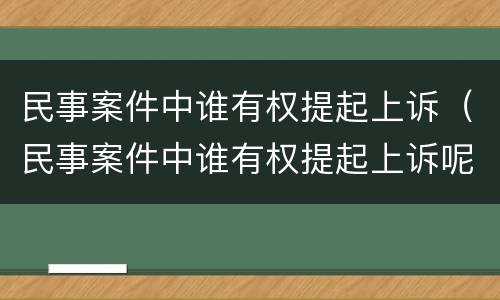 民事案件中谁有权提起上诉（民事案件中谁有权提起上诉呢）