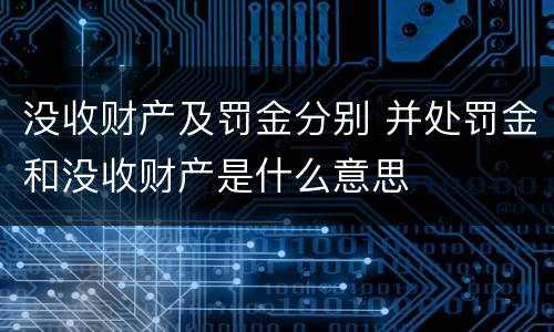 没收财产及罚金分别 并处罚金和没收财产是什么意思