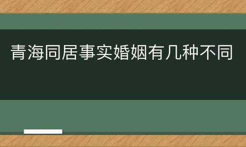 青海同居事实婚姻有几种不同