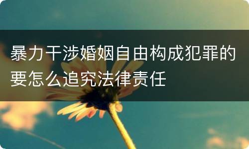 暴力干涉婚姻自由构成犯罪的要怎么追究法律责任