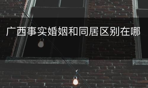 广西事实婚姻和同居区别在哪