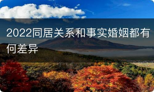 2022同居关系和事实婚姻都有何差异