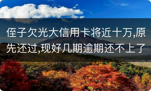侄子欠光大信用卡将近十万,原先还过,现好几期逾期还不上了,现在把人抓进去了怎么办