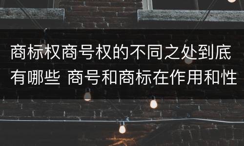 商标权商号权的不同之处到底有哪些 商号和商标在作用和性质上的区别