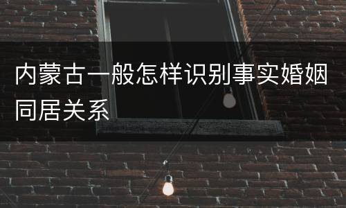 内蒙古一般怎样识别事实婚姻同居关系