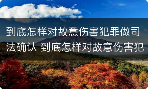 到底怎样对故意伤害犯罪做司法确认 到底怎样对故意伤害犯罪做司法确认
