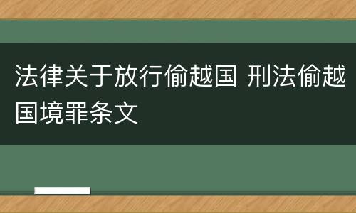 法律关于放行偷越国 刑法偷越国境罪条文