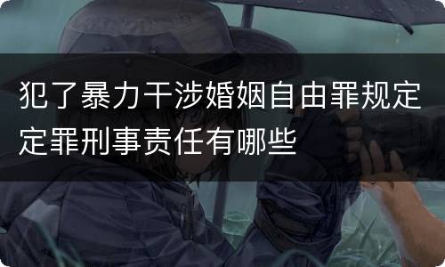 犯了暴力干涉婚姻自由罪规定定罪刑事责任有哪些