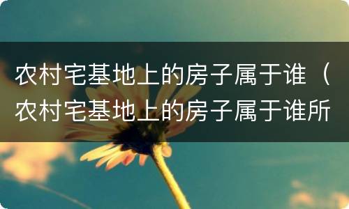 农村宅基地上的房子属于谁（农村宅基地上的房子属于谁所有）