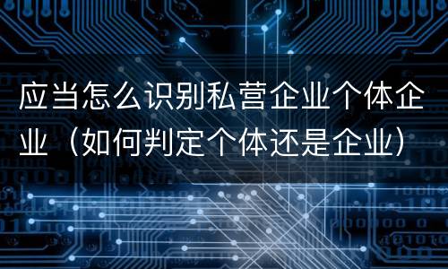 应当怎么识别私营企业个体企业（如何判定个体还是企业）