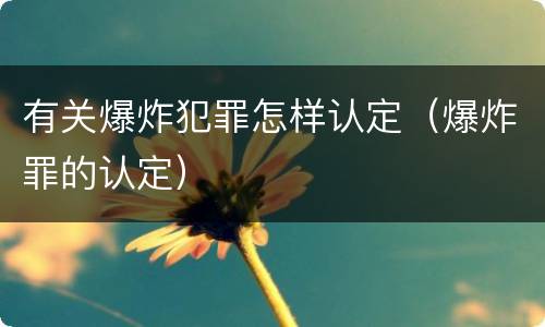有关爆炸犯罪怎样认定（爆炸罪的认定）