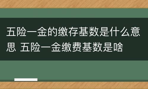 五险一金的缴存基数是什么意思 五险一金缴费基数是啥