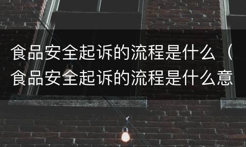 食品安全起诉的流程是什么（食品安全起诉的流程是什么意思）