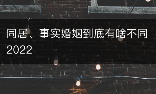 同居、事实婚姻到底有啥不同2022