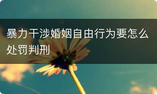 暴力干涉婚姻自由行为要怎么处罚判刑