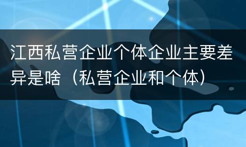 江西私营企业个体企业主要差异是啥（私营企业和个体）