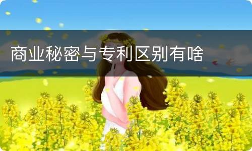 商业秘密与专利区别有啥