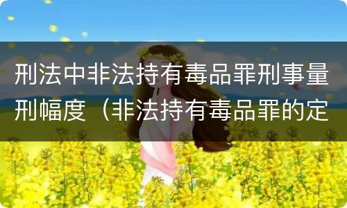 刑法中非法持有毒品罪刑事量刑幅度（非法持有毒品罪的定罪标准）