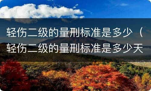 轻伤二级的量刑标准是多少（轻伤二级的量刑标准是多少天）