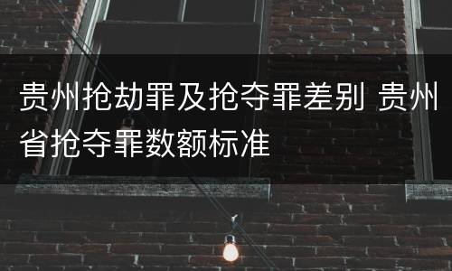 贵州抢劫罪及抢夺罪差别 贵州省抢夺罪数额标准