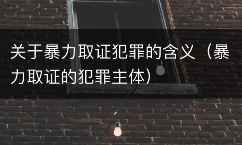 关于暴力取证犯罪的含义（暴力取证的犯罪主体）