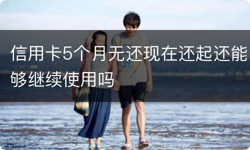 信用卡5个月无还现在还起还能够继续使用吗