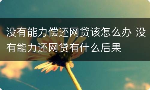 没有能力偿还网贷该怎么办 没有能力还网贷有什么后果