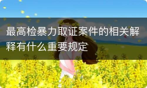 最高检暴力取证案件的相关解释有什么重要规定