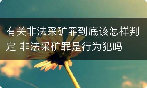 有关非法采矿罪到底该怎样判定 非法采矿罪是行为犯吗