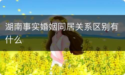 湖南事实婚姻同居关系区别有什么
