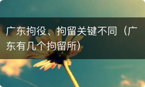 广东拘役、拘留关键不同（广东有几个拘留所）