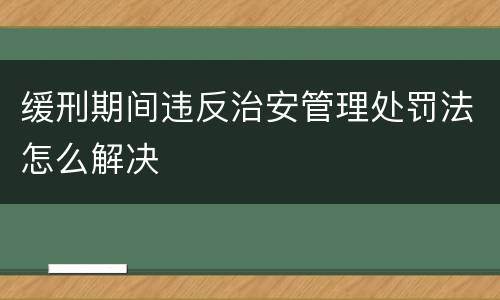 缓刑期间违反治安管理处罚法怎么解决