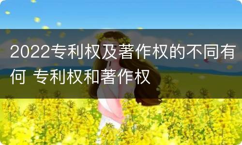 2022专利权及著作权的不同有何 专利权和著作权