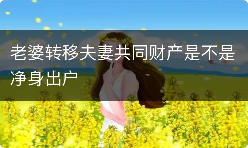 老婆转移夫妻共同财产是不是净身出户