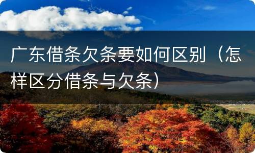 广东借条欠条要如何区别（怎样区分借条与欠条）