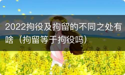 2022拘役及拘留的不同之处有啥(拘留等于拘役吗)