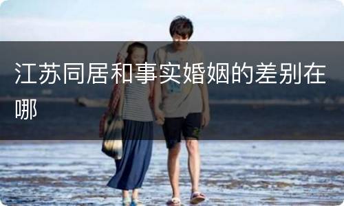 江苏同居和事实婚姻的差别在哪