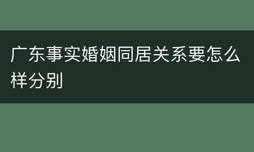 广东事实婚姻同居关系要怎么样分别
